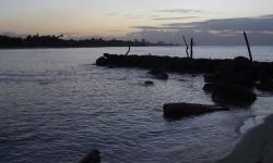 Featured image of post Weekly